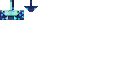 Texture for icefish