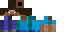 Texture for Steve