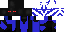 Texture for blaupunktMC