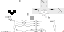 Texture for Squelette