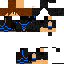 Texture for turtur1266