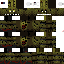 Texture for скин