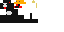 Texture for penguin2