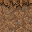 Texture for farmland_front