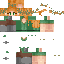 Texture for alex
