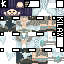 Texture for Sylas 2