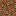 Texture for dirt.json