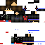 Texture for VICTOR