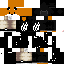 Texture for ninja
