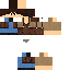 Texture for lyon2
