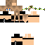 Texture for Cicus05