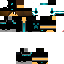 Texture for champ