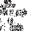 Texture for バージョン3