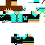 Texture for Steve