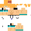 Texture for Digiloquix Playero V2