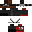 Texture for ELINST4