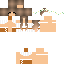 Texture for LibrarianF2