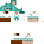 Texture for スーズ
