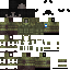 Texture for WRI