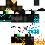 Texture for Silva_25
