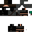 Texture for ninja1
