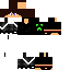 Texture for sicarius