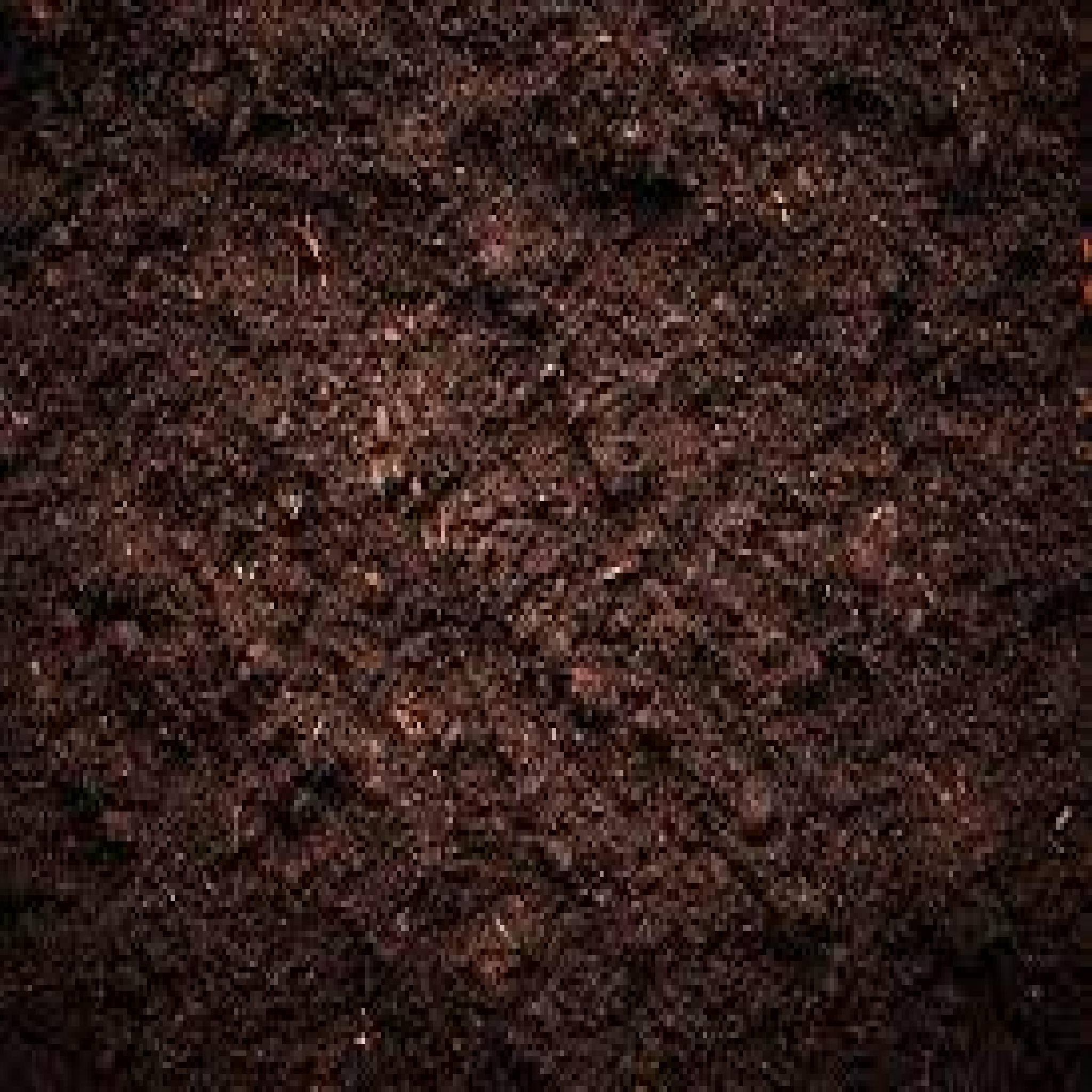 Texture for grass_block_side