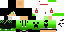 Texture for ninja