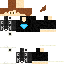 Texture for Sash