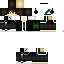 Texture for NiceKung