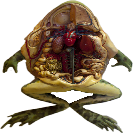 Texture for Dead frog