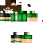 Texture for Dom Vert