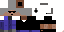 Texture for skydoesminecraft hunter