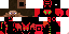 Texture for lordpx