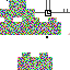 Texture for BUG F1