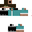 Texture for fs