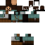 Texture for Pierre Bellec