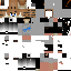 Texture for leon 