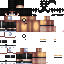 Texture for SWE