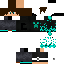 Texture for master071
