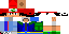 Texture for ds