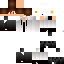 Texture for SrIgor_Br