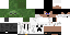 Texture for minecrafter