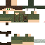 Texture for CT678