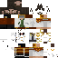Texture for jayce2