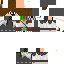 Texture for Idiot Asassin