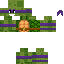 Texture for pp