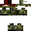Texture for Steve2