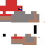 Texture for sdsDSA