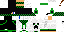 Texture for creeperdj